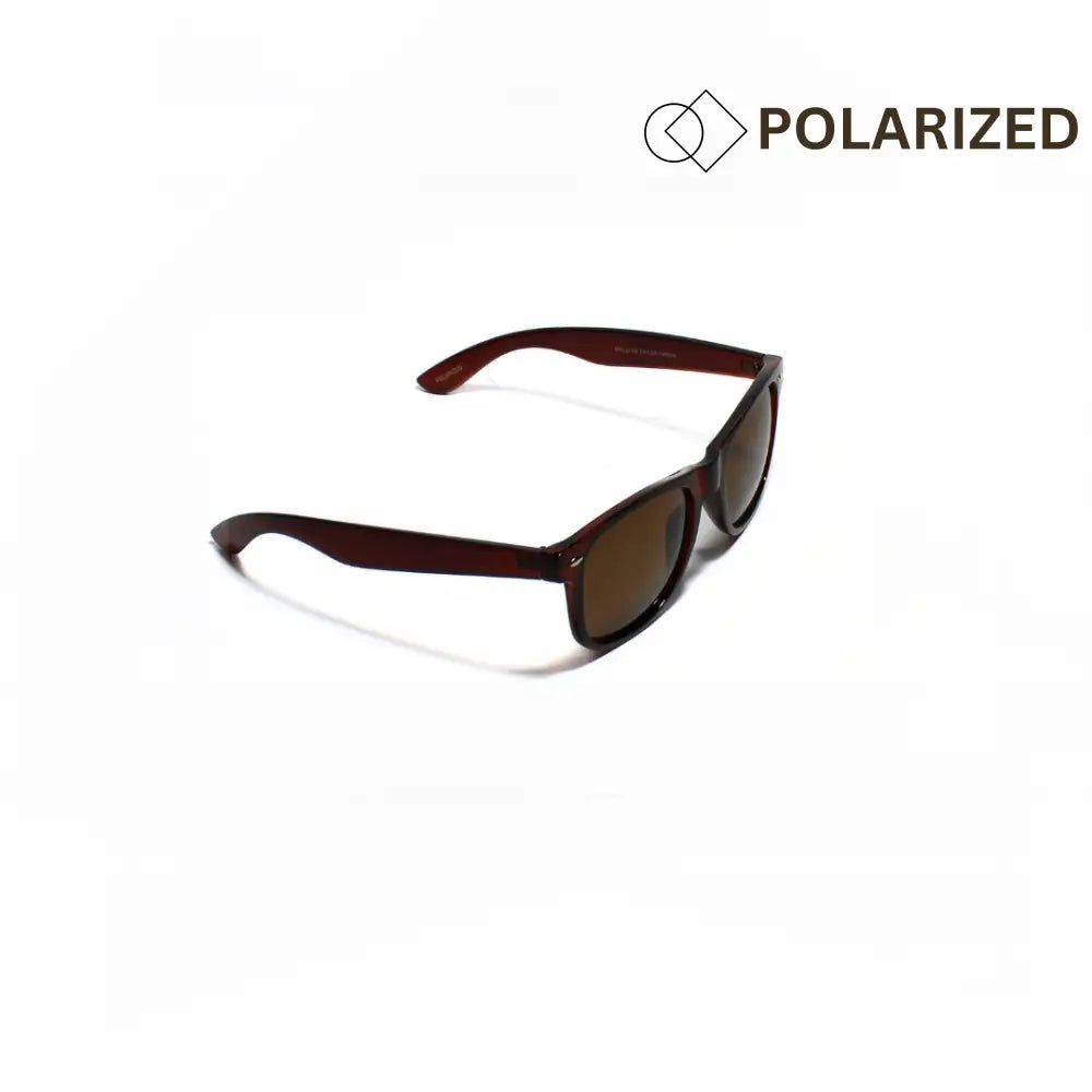 ARGUS//002 I Sunglasses for Men and Women - Specsview